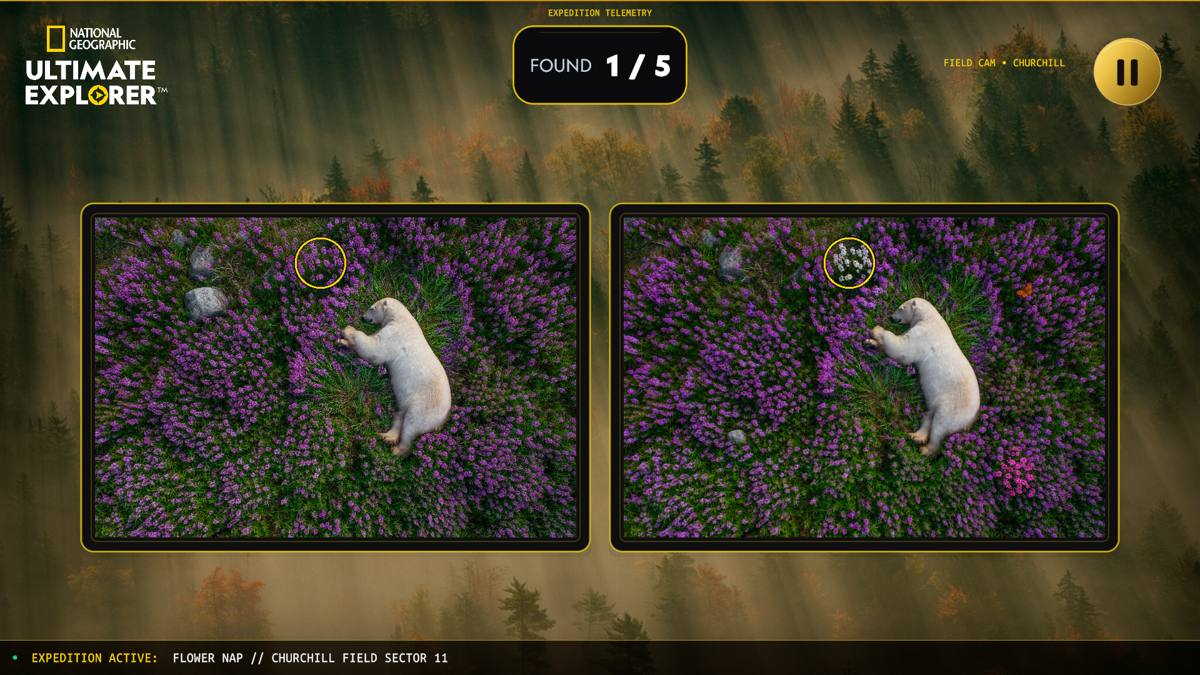 Difference circled on both photos