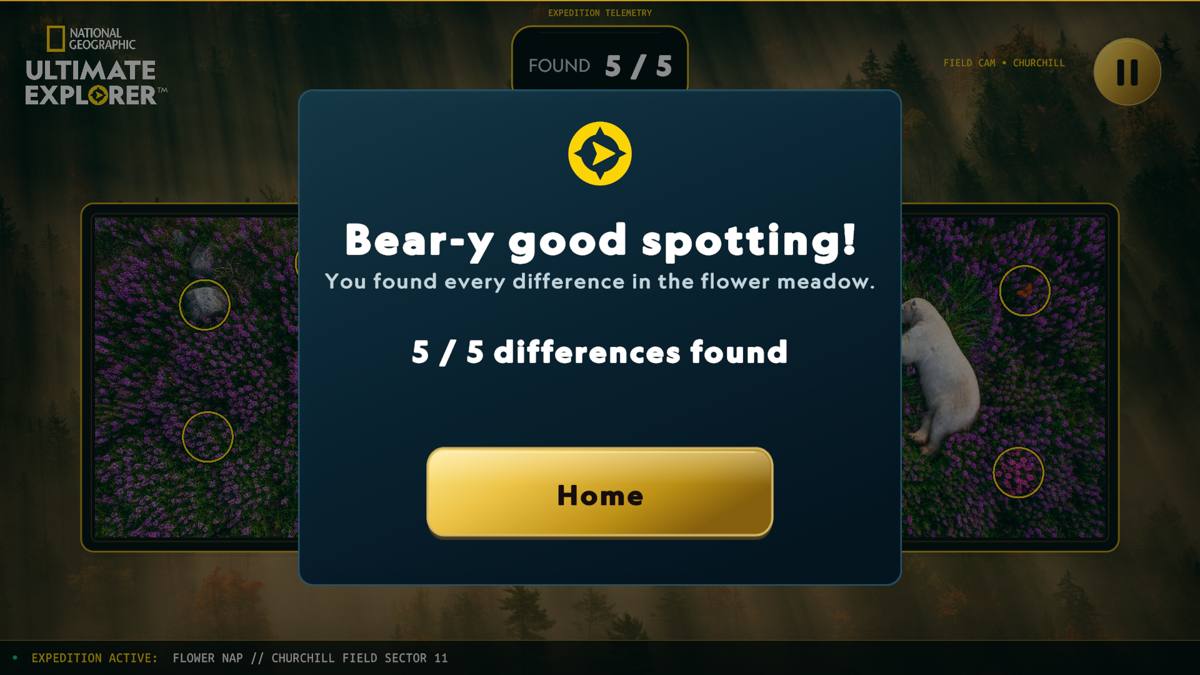 Bear-y good spotting end dialog