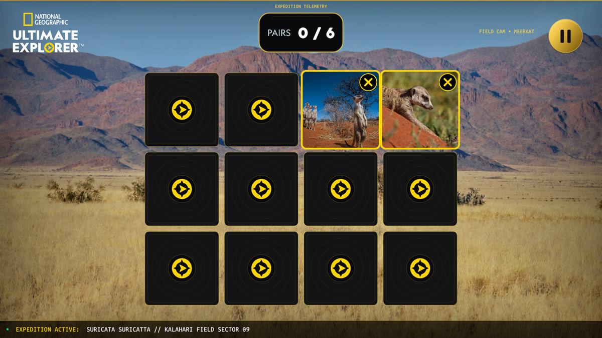 Mismatch feedback with X badges