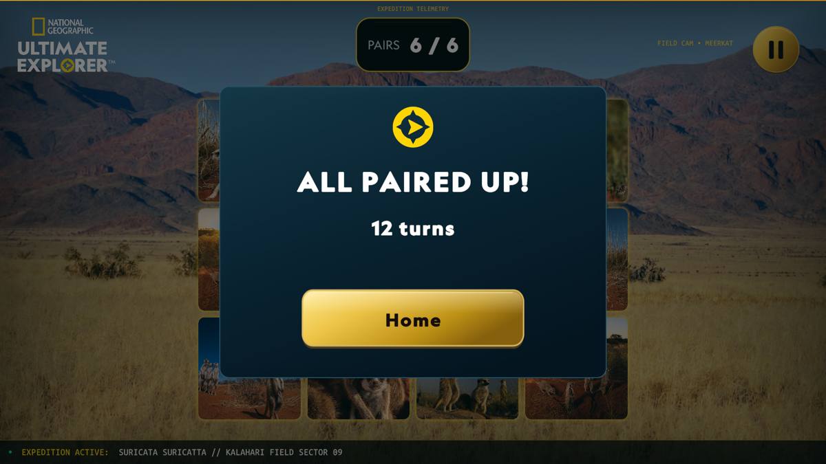 All Paired Up end dialog