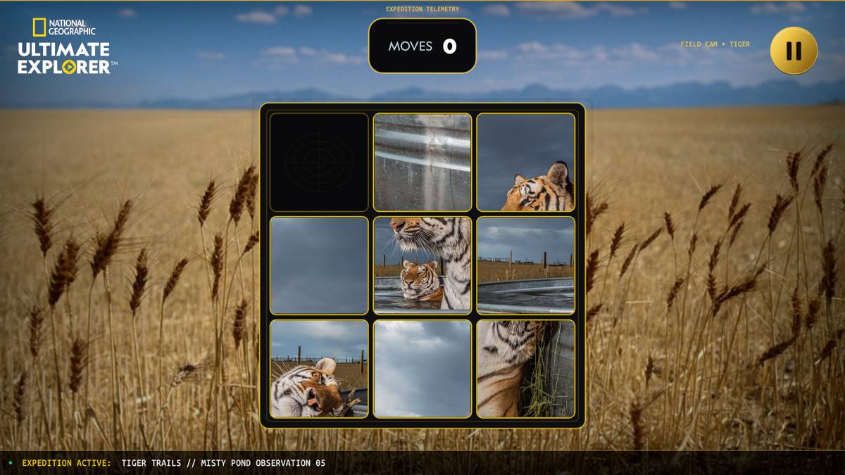 Scrambled tiger sliding puzzle