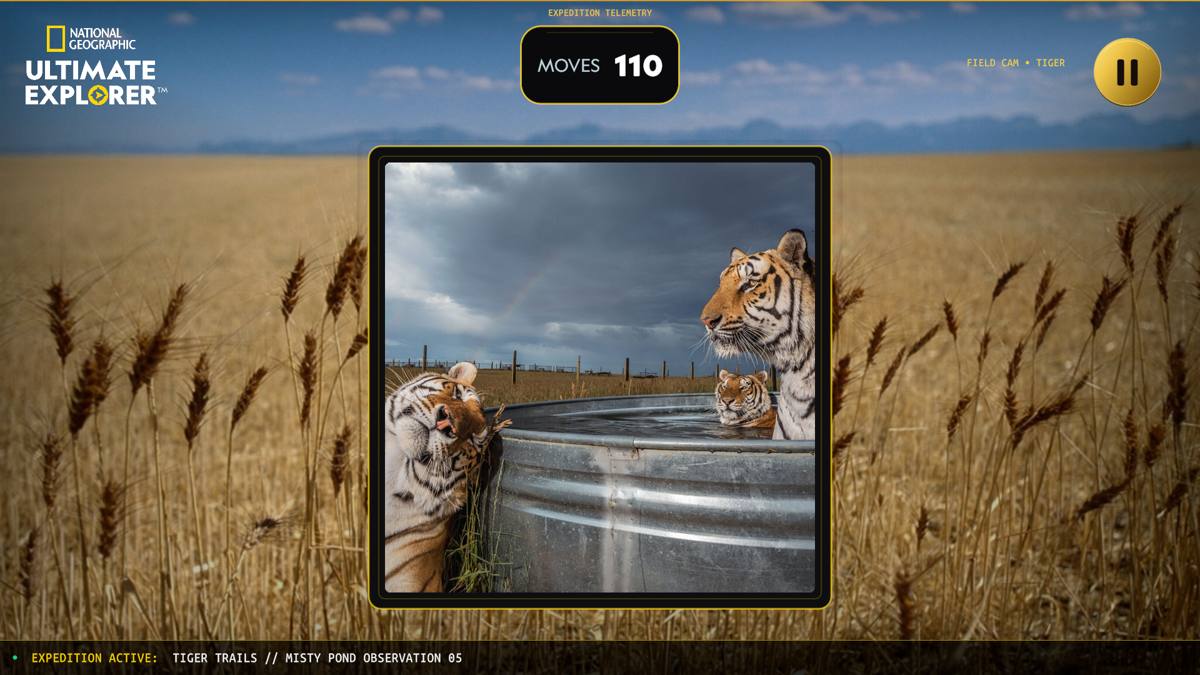 Completed tiger photo revealed